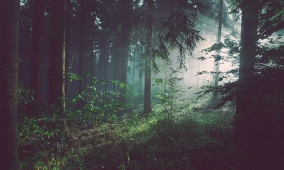 Dem Wald verbunden - Waldgeister gestalten