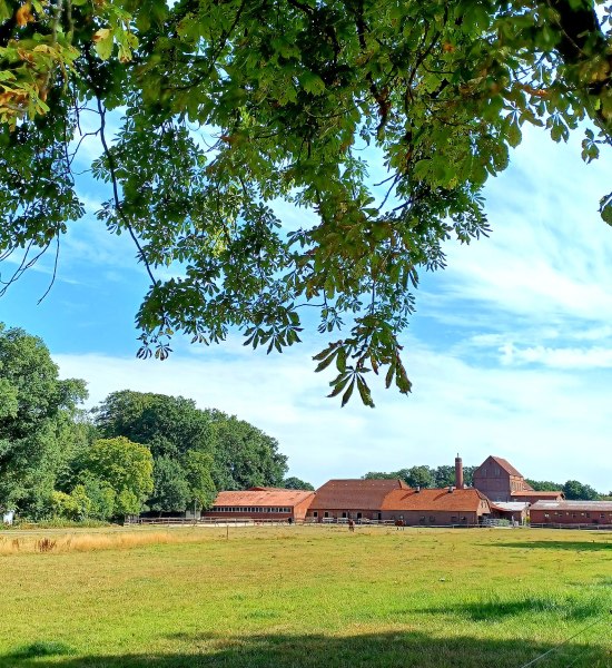 Allte Brennerei Hilbers Oldenburg Weitblick