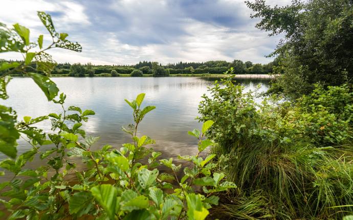 Woldsee bei Oldenburg