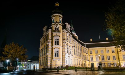 Oldenburger Schloss bei Nacht