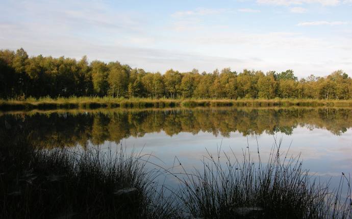 Engelsmeer Bad Zwischenahn