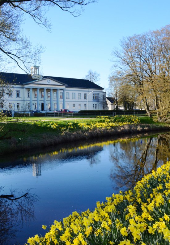 PFL Oldenburg mit Wallanlagen und Narzissen im Vordergrund