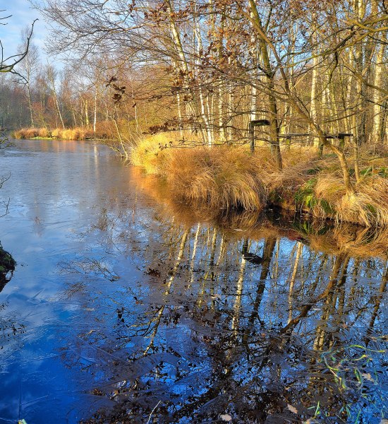 Gellener Torfmöörte Naturschutzgebiet