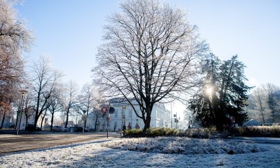 Frost in Oldenburg mit dem Prinzenpalais im Hintergrund