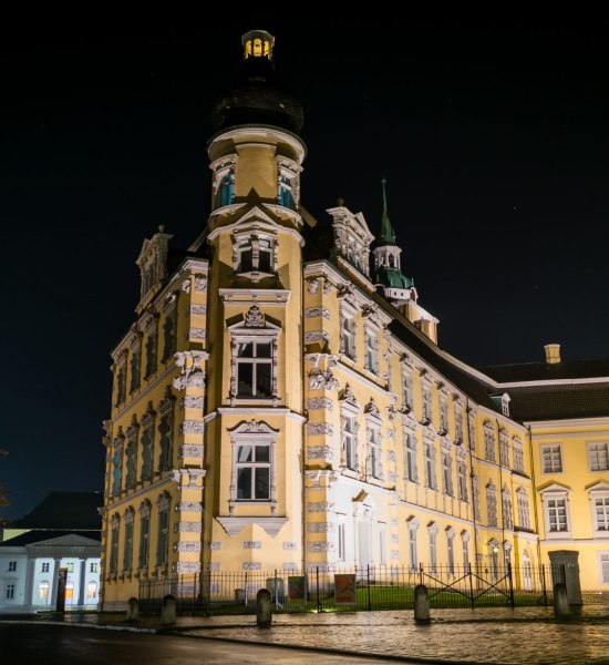 Oldenburger Schloss bei Nacht