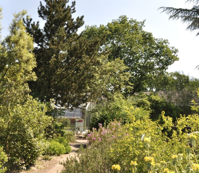 Botanischer Garten Oldenburg Sommer