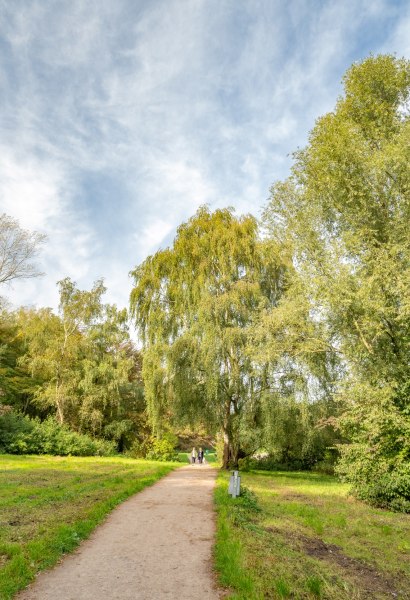 Bornhorster See Oldenburg Spazierweg