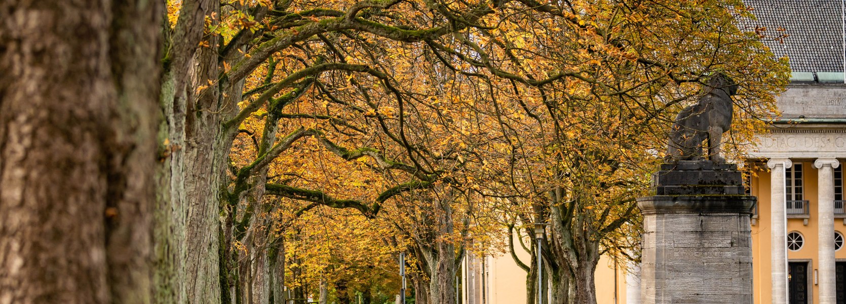 Alter Landtag Oldenburg im Herbst