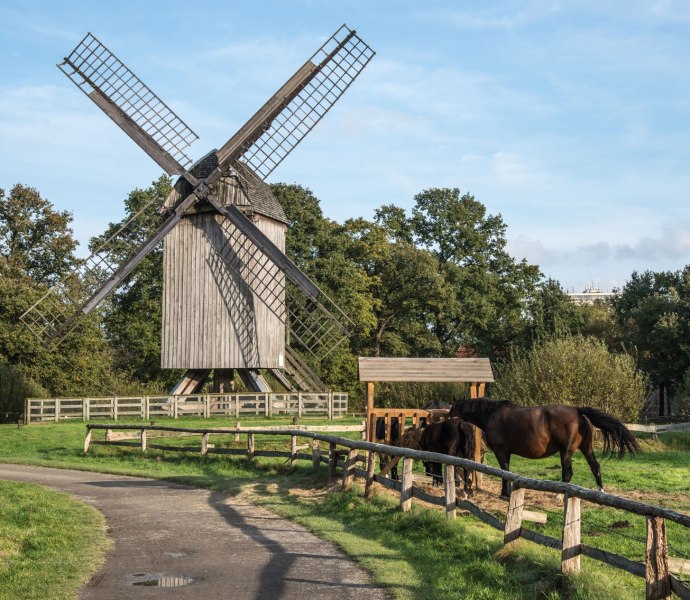 bockwindmuehle-m-alt-oldenburgern-eckhard-albrecht