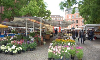 Wochenmarkt auf dem Rathausmarkt