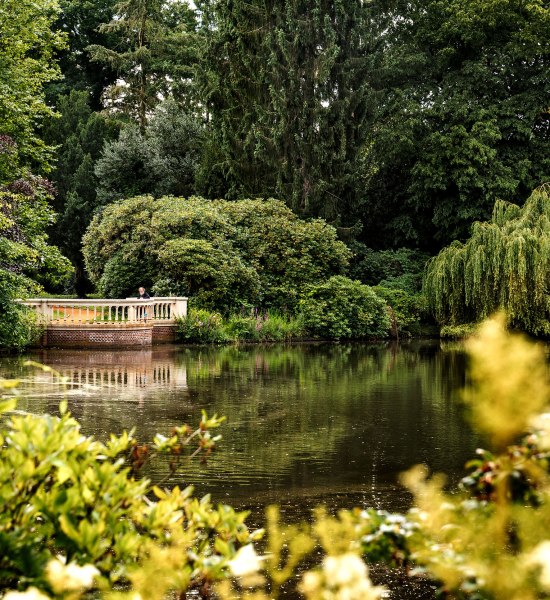 Oldenburg Schlossgarten Teich