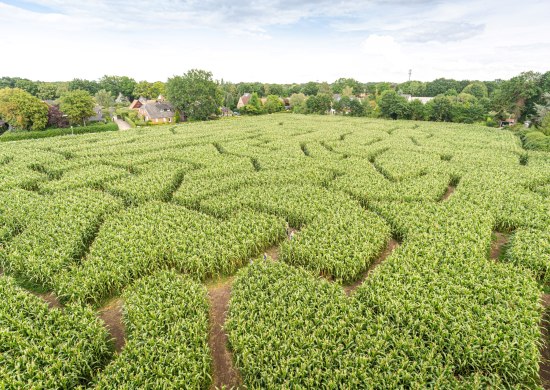 Oldenburg Maislabyrinth von oben