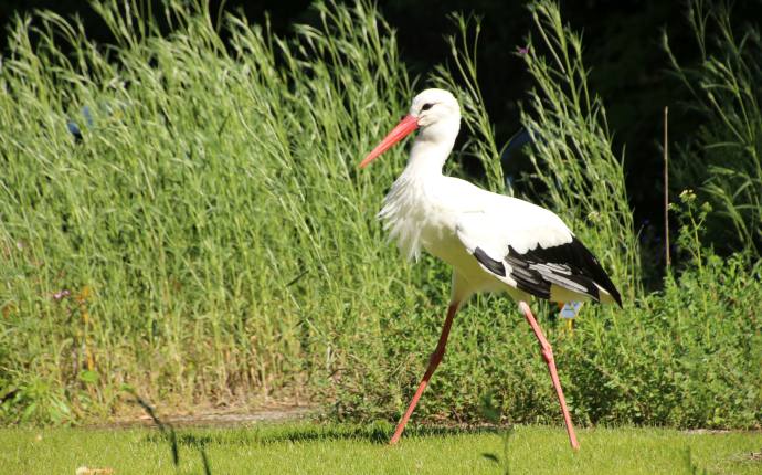 Botanischer Garten Oldenburg