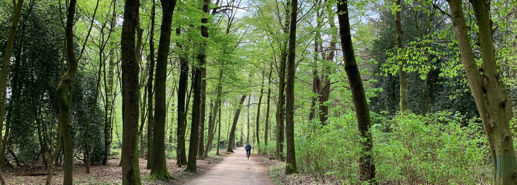 Radfahren im Eversten Holz Oldenburg