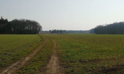 Achtsam Radeln Ammerland