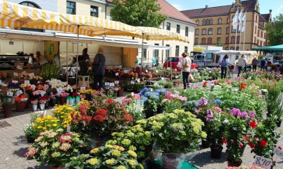 Wochenmarkt auf dem Pferdemarkt