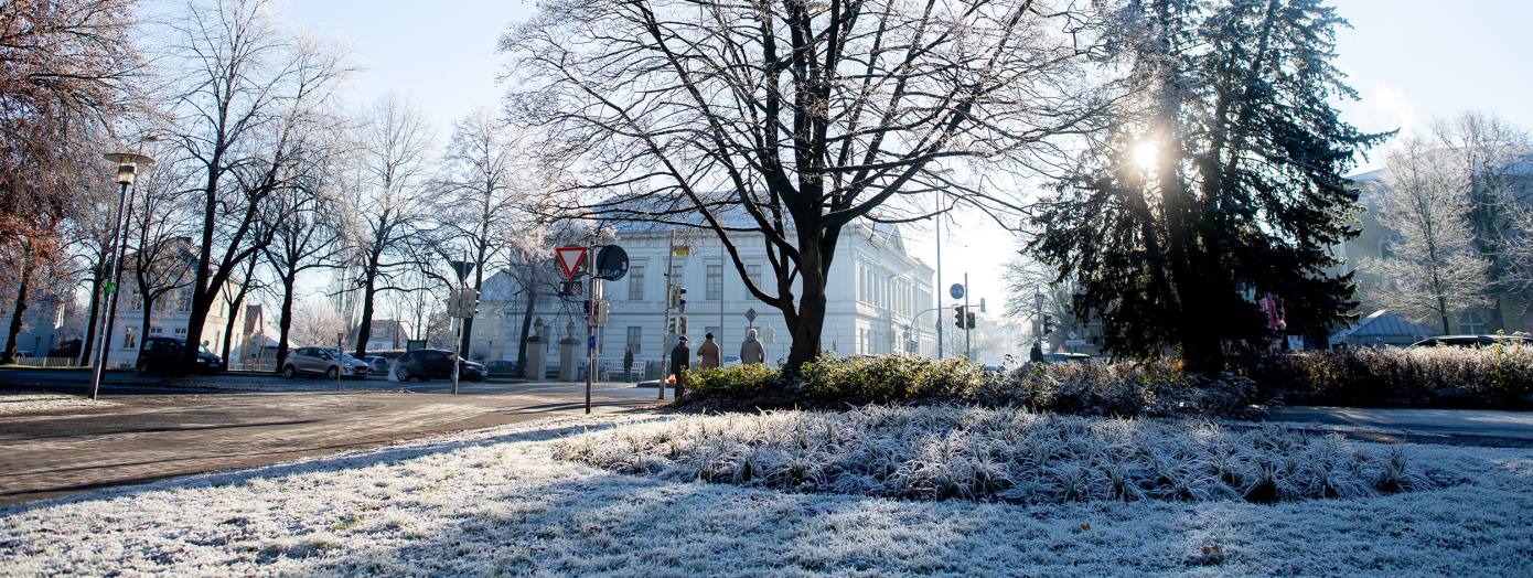 Frost in Oldenburg mit dem Prinzenpalais im Hintergrund