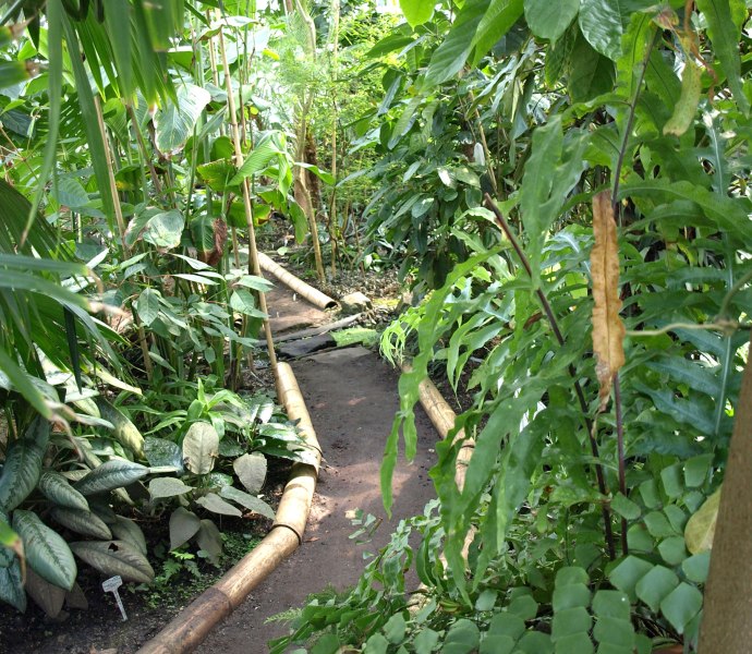 Botanischer Garten Oldenburg Tropenhaus