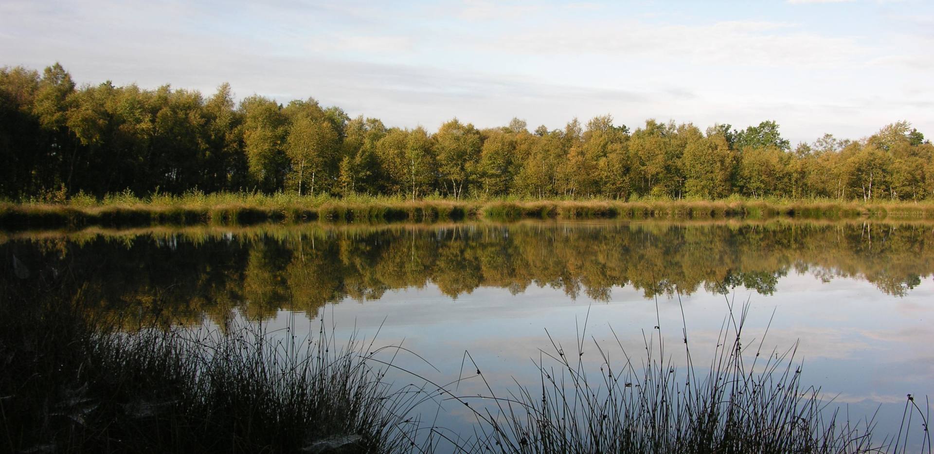 Engelsmeer Bad Zwischenahn