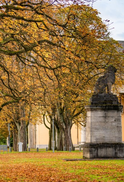 Aufnahme vom Alten Landtag mit herbstlichem Laub im Vordergrund.