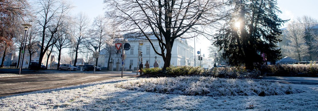 Frost in Oldenburg mit dem Prinzenpalais im Hintergrund