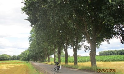 Natur pur im Oldenburger Land