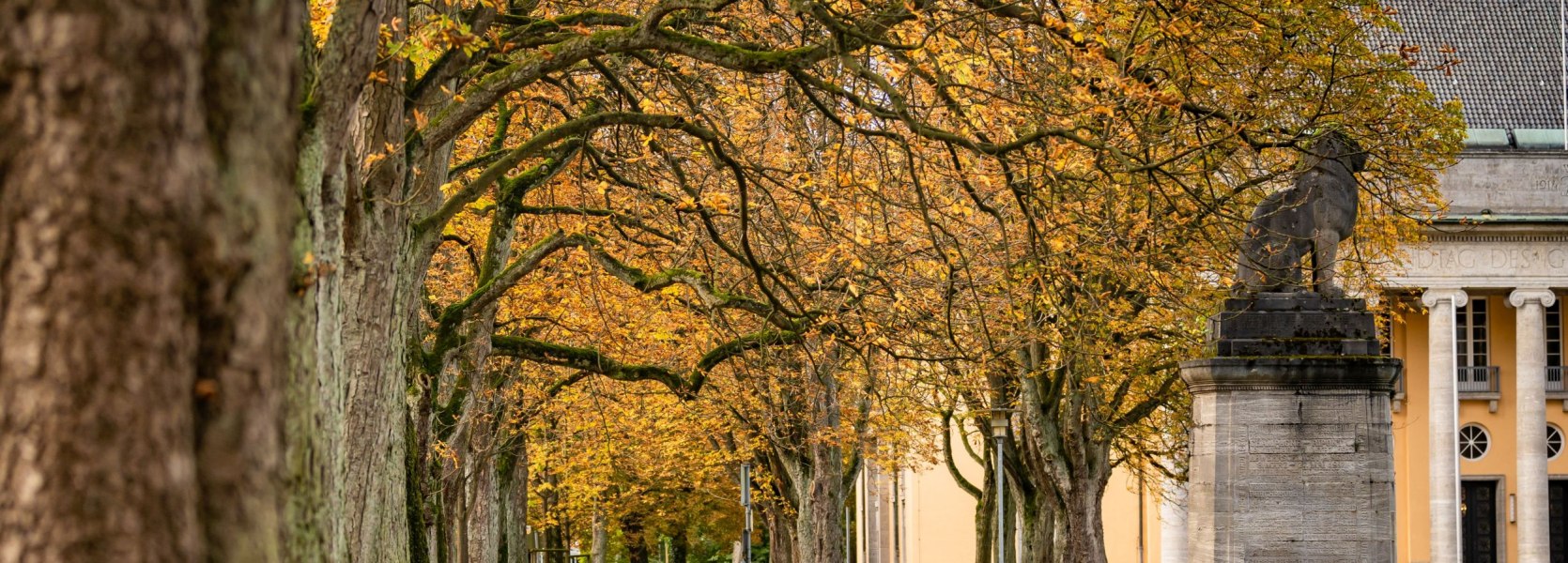 Aufnahme vom Alten Landtag mit herbstlichem Laub im Vordergrund.